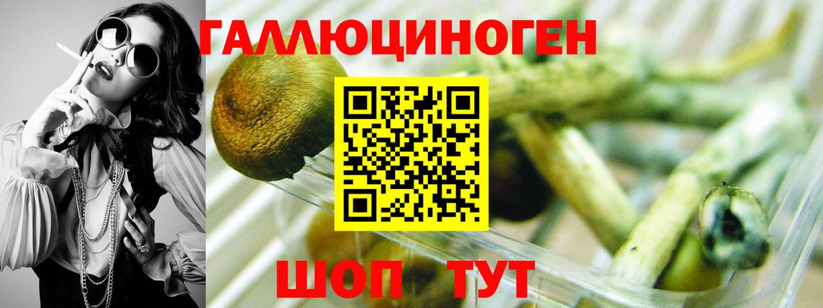 Борисоглебск  Псилоцибиновые грибы ЛСД  Псилоцибиновые грибы Cubensis  Вход с VPN 